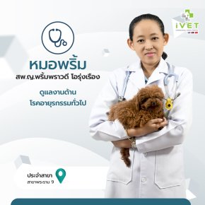 สพ.ญ.พริ้มพราวดี โอรุ่งเรือง ( หมอพริ้ม  ) 